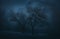 Two naked trees in the blue scary forest at night. Halloween image