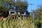 Two narrow vintage retro vineyard cottages on top of small hill covered with rows of vineyard surrounded with tall utility poles