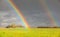 Two natural rainbow over green field after rain