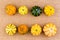 Two neat rows of different ornamental gourds