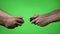 Two nervous young video gamers with wireless controllers facing each other in a match on green screen background -
