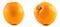 Two nicely colored oranges on a white background - front and back