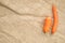 Two non-standard ugly carrots: thin crooked and small on burlap .