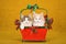 Two Norwegian Forest Cat kittens sitting inside red Christmas basket on gold background