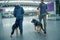 Two officers with detection dogs walking in airport terminal