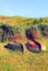 Two old boats on shore - vertical