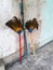 Two old brooms hang beside building after using of cleaning in Bangkok, Thailand