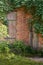 Two old doors in a brick wall. Abandoned building, walls covered with ivy