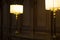 Two old fashioned lamps on a desk in a wood paneled room