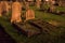 Two Old Graves at Gothic Cemetery