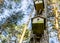 Two old not accepted nesting boxes at the trunk of a pine in the forest.