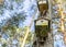 Two old not accepted nesting boxes at the trunk of a pine in the forest