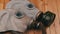 Two Old Rubber Gas Masks Lie on a Wooden Background in a Cloud of Thick Smoke