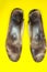 Two old, shabby inner dirty insoles of shoes. Worn out things