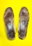 Two old, shabby inner dirty insoles of shoes. Worn out things