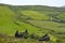 Two Old Stone Cottage in West Cork