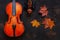 Two Old violin with yellow autumn maple leave.