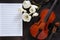 Two Old violins and blossoming magnolia brances on the white note paper. Top view, close-up