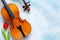 Two Old violins and red tulip. Valentine day, 8 March concept. Top view, close-up on blue sky concrete background