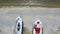 Two old wooden boats laying on the sand beach in bay. Aerial view