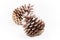 Two open pine cones on a white background. Shallow focus.