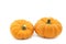 Two orange decorative pumpkins