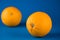 two orange oranges lying on a blue background