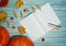 Two orange pumpkins, an open notebook, pen and pencil, physalis and Rowan berries, maple leaves and spikelets of wild herbs on a