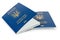 Two ordinary biometric Ukrainian passports on a white background