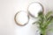 Two oval round mirrors on white wall with green house plant modern interior, blurred mirrors retro design