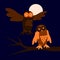 Two owls in night at full moon.