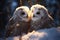 Two owls sitting on a branch in the snow by moon light. Winter greeting card design, wintertime background with copy space, place