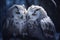 Two owls sitting on a branch in the snow by moon light. Winter greeting card design, wintertime background with copy space, place