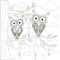 Two owls sitting on branches of blooming tree, anti stress black and white