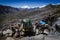 Two pack mules transporting trekking equipment from the quebrada santa cruz in peru with pucaraju snowy mountain