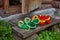 Two pairs of dwarf felt shoes at the entrance of an old wooden house. Dwarves came to visit