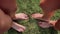 Two pairs of female feet stand opposite each other on the green grass