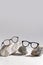 Two pairs of trendy glasses in plastic frame on stones on light background. Glasses sale poster. Optic store sale-out offer. Copy