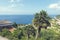 Two palm trees and beautiful view in Banyalbufar Majorca