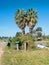 Two Palm Trees at Entrance of Property.