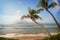 Two Palm Trees Lean on Tropical Beach Ocean View