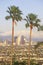 Two palm trees, Los Angeles and snowy Mount Baldy as seen from the Baldwin Hills, Los Angeles, California