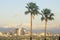 Two palm trees, Los Angeles and snowy Mount Baldy as seen from the Baldwin Hills, Los Angeles, California