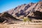 Two palm trees surrounded by massive rocks near a bedouin settlement