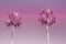 Two Palm Trees on Toned Ultraviolet Sky Background Trendy 2018 Color. Surrealistic Vintage Style Copy Space for Text