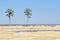 Two Palms waterhole in the Etosha National Park,