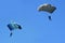 Two Parachutists fly