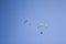 Two paragliders on colored parachutes fly against a clear blue sky