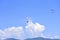 Two paratroopers descend against a blue sky