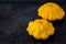 Two pattypan squash is a variety of summer squash Cucurbita pepo on dark background